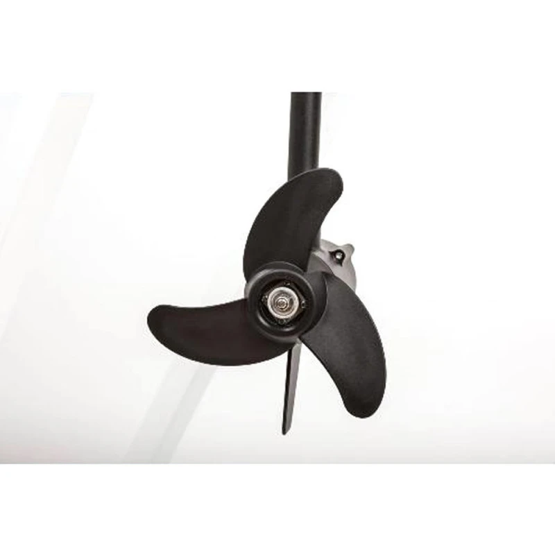 MOTEUR HASWING PROTRUAR 2.0 85 LBS 6 MOTEUR HASWING PROTRUAR 2.0 85 LBS – Image 4